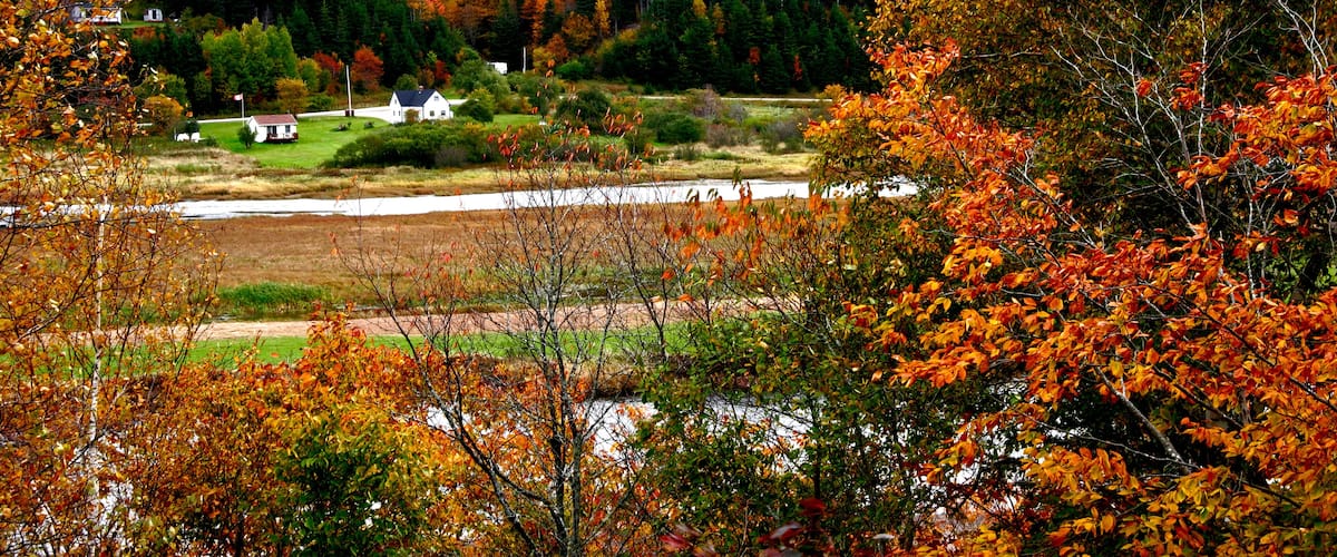 A rural landscape with autumn foliage, a small white house, and a river.