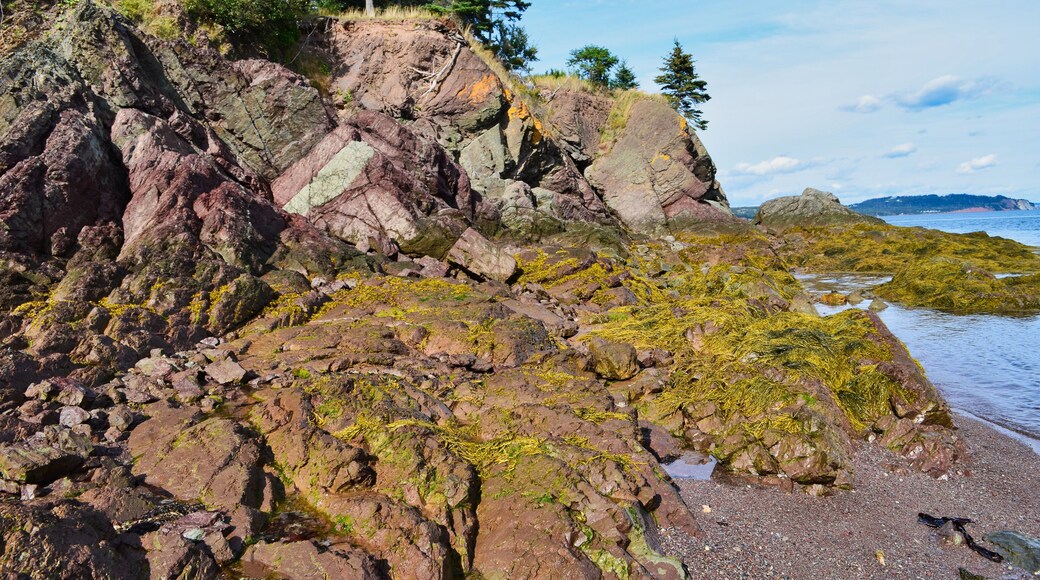 Geologic Rock Formations Along the Nova Scotia Coast near Parrsboro Canada
