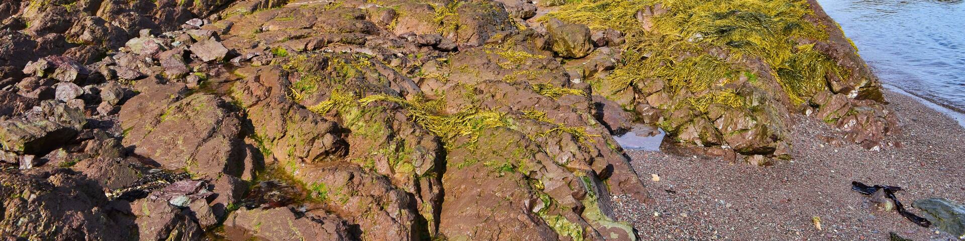 Geologic Rock Formations Along the Nova Scotia Coast near Parrsboro Canada