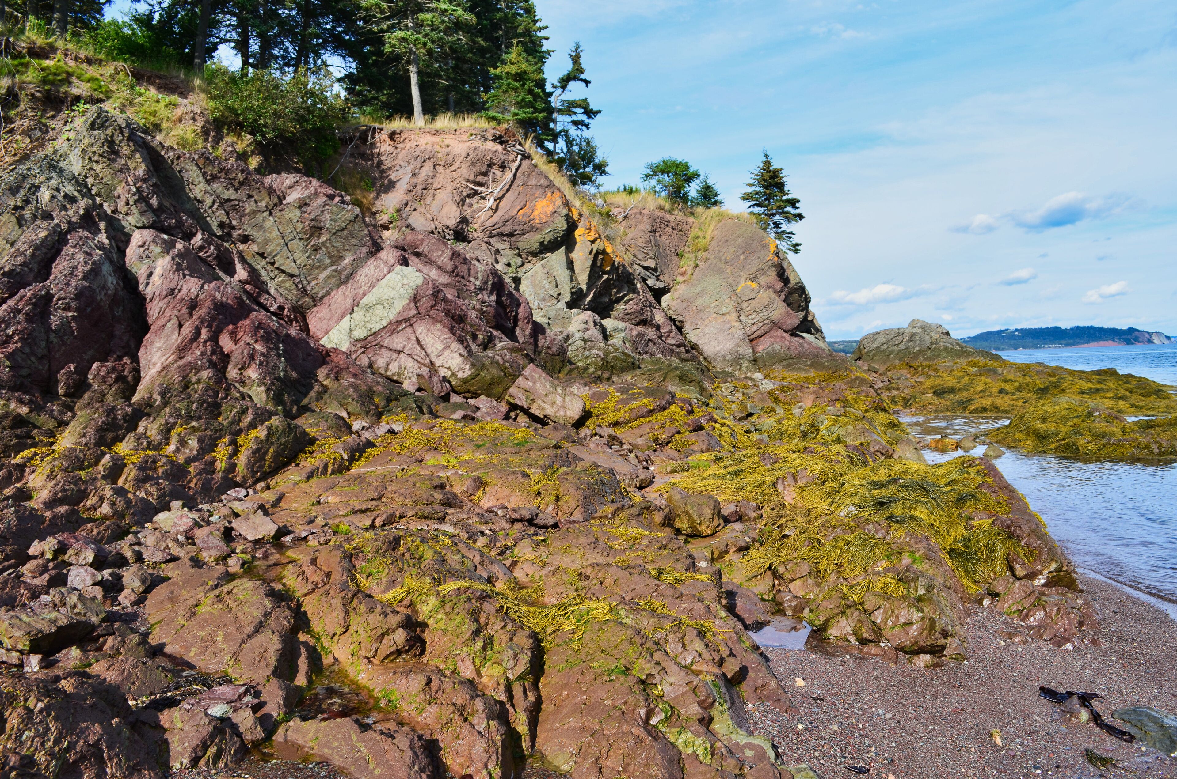 A rocky shoreline with moss-covered rocks and a clear view of the ocean.