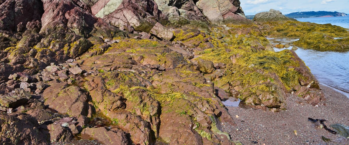 A rocky shoreline with moss-covered rocks and a clear view of the ocean.