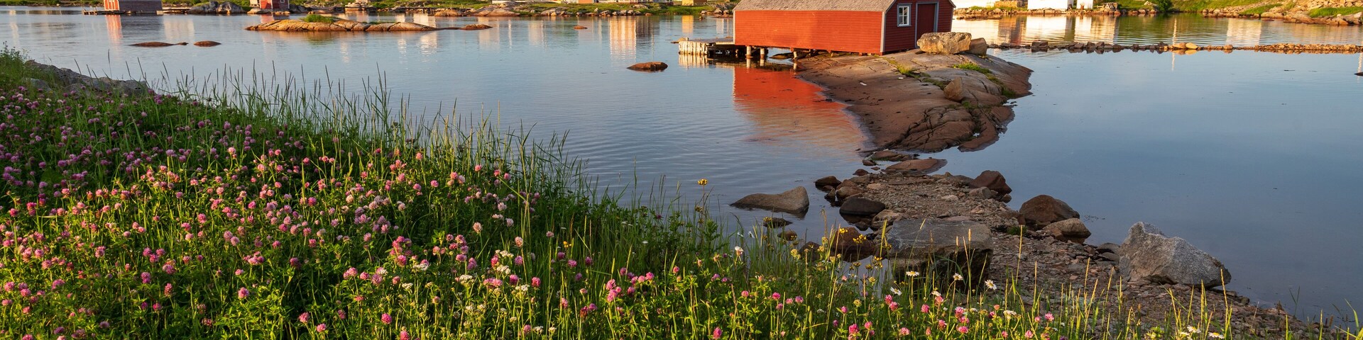 Road trip photo Newfoundland, Canada