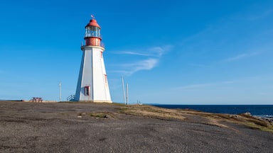Point Riche Lighthouse sits at the western tip of the Point Riche peninsula near Port au Choix National Historic Site, overlooking the Gulf of St Lawrence.