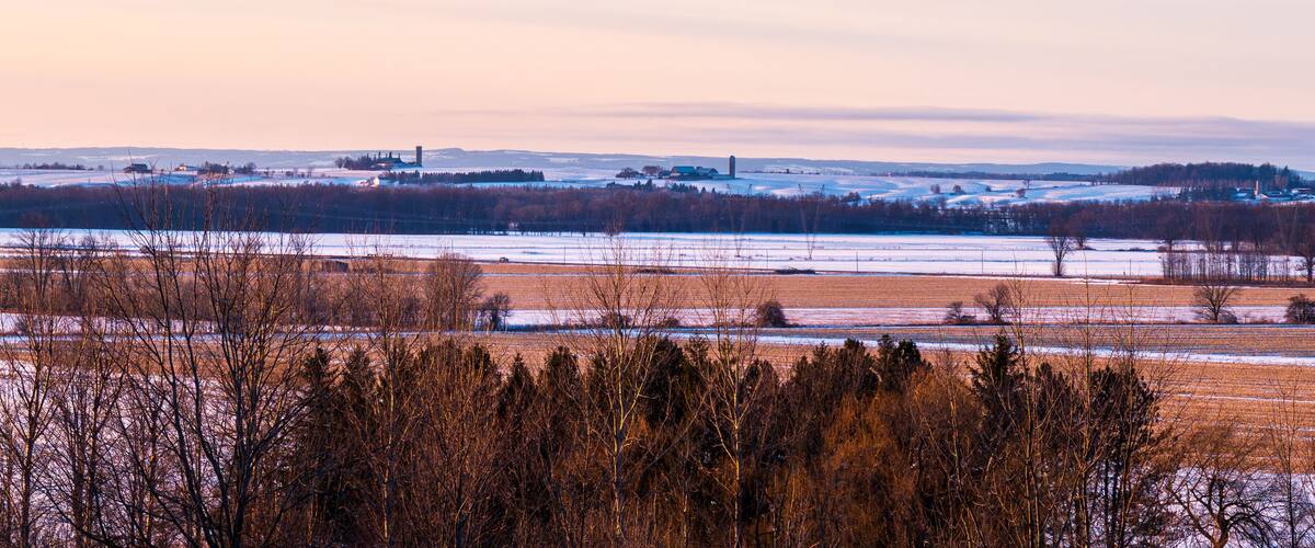 A winter landscape with snow-covered fields, leafless trees, and distant buildings.