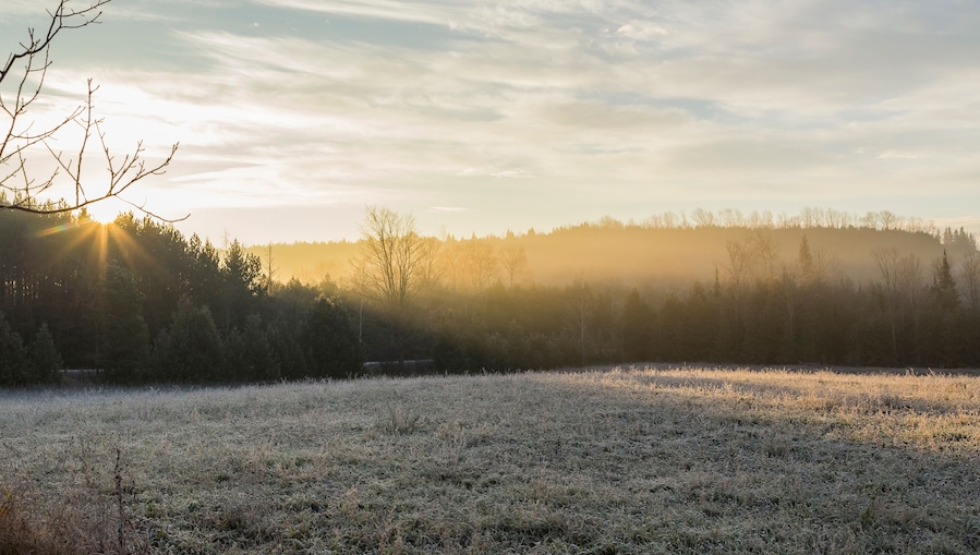 frost on rural landscape at sunrise