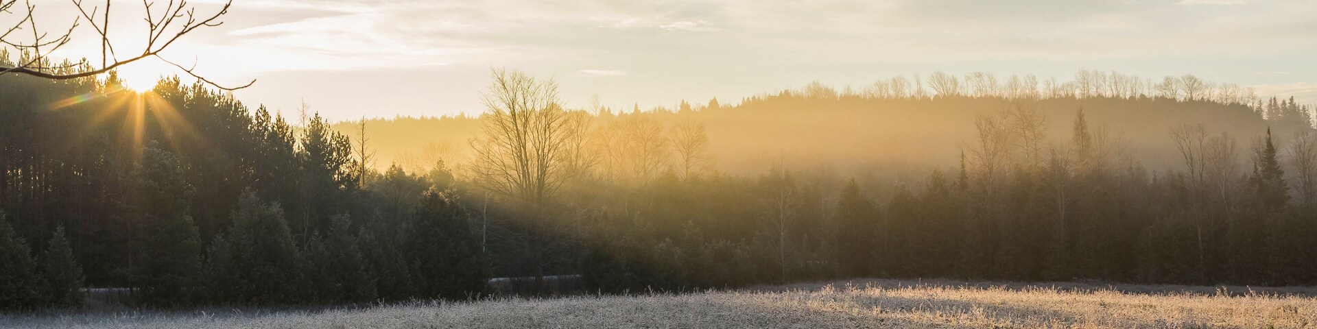 frost on rural landscape at sunrise