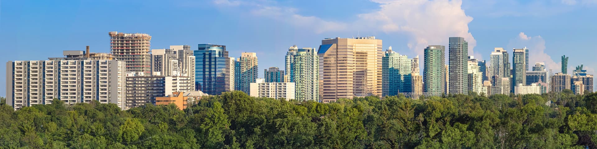A city skyline with modern high-rise buildings, a clear blue sky, and a forested foreground.