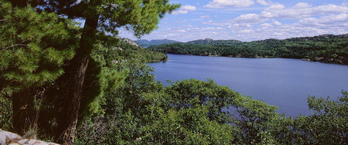 A lake surrounded by dense green trees and a clear blue sky.