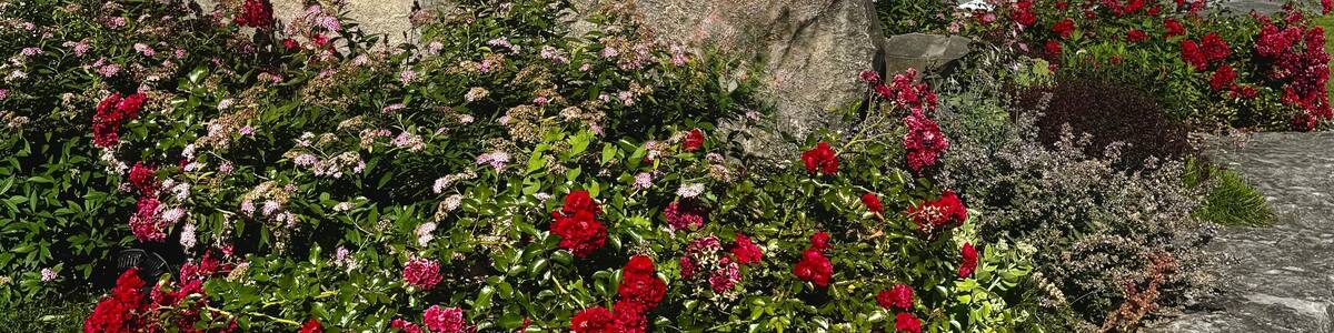 A rock with 'FENELONS' carved on it, surrounded by flowers and a body of water with boats.