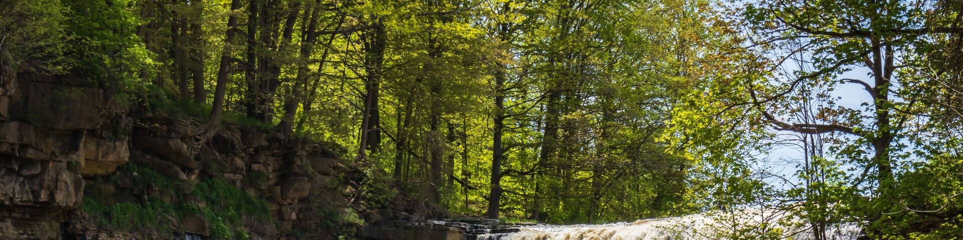 A waterfall cascading over a rocky cliff into a river, surrounded by lush green trees.