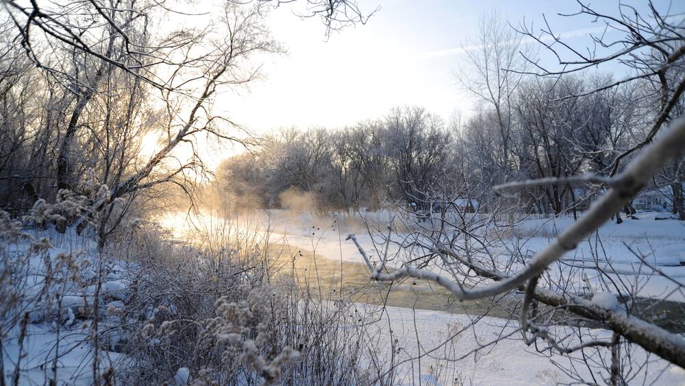 Credit river bank