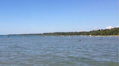 Final camping trip of the season and we finally have sun for once. This weekend we camping at Point Farms Provincial Park off of Lake Huron. It's our first time here and the beach is enormous!!! I highly recommend visiting this place as its great for families. White sandy beaches that stretch as far as the eye can see. Water is cold but refreshing with only a little bit of seaweed. The shallow end extends quite far out giving you lots of room to have fun without getting in anyone's way. Bugs aren't too bad either. There is no firewood available within the park but a 30 second drive north outside the park marks a small variety store where you can buy all your camping needs such as fire starters, wood, kindling, and so on. The closest grocery store is about a 20 minute drive south towards Goderich called Zehers. This parks marks our 30th provincial park in Ontario.