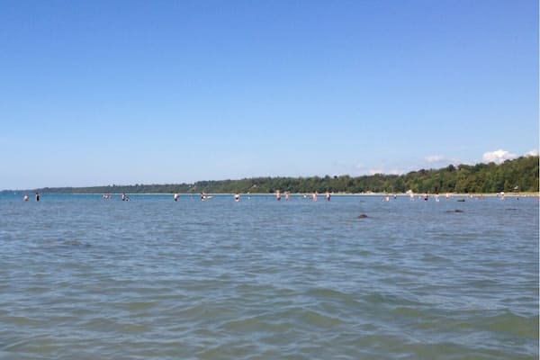 Final camping trip of the season and we finally have sun for once. This weekend we camping at Point Farms Provincial Park off of Lake Huron. It's our first time here and the beach is enormous!!! I highly recommend visiting this place as its great for families. White sandy beaches that stretch as far as the eye can see. Water is cold but refreshing with only a little bit of seaweed. The shallow end extends quite far out giving you lots of room to have fun without getting in anyone's way. Bugs aren't too bad either. There is no firewood available within the park but a 30 second drive north outside the park marks a small variety store where you can buy all your camping needs such as fire starters, wood, kindling, and so on. The closest grocery store is about a 20 minute drive south towards Goderich called Zehers. This parks marks our 30th provincial park in Ontario.