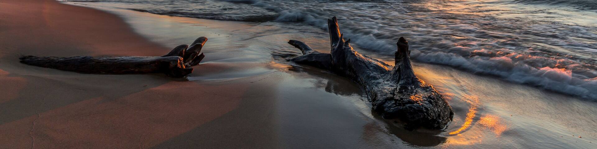 Driftwood on a Lake Huron Beach at Sunset