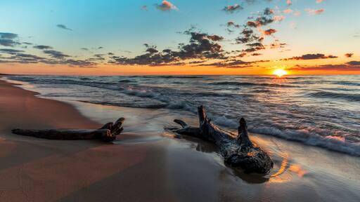 Driftwood on a Lake Huron Beach at Sunset