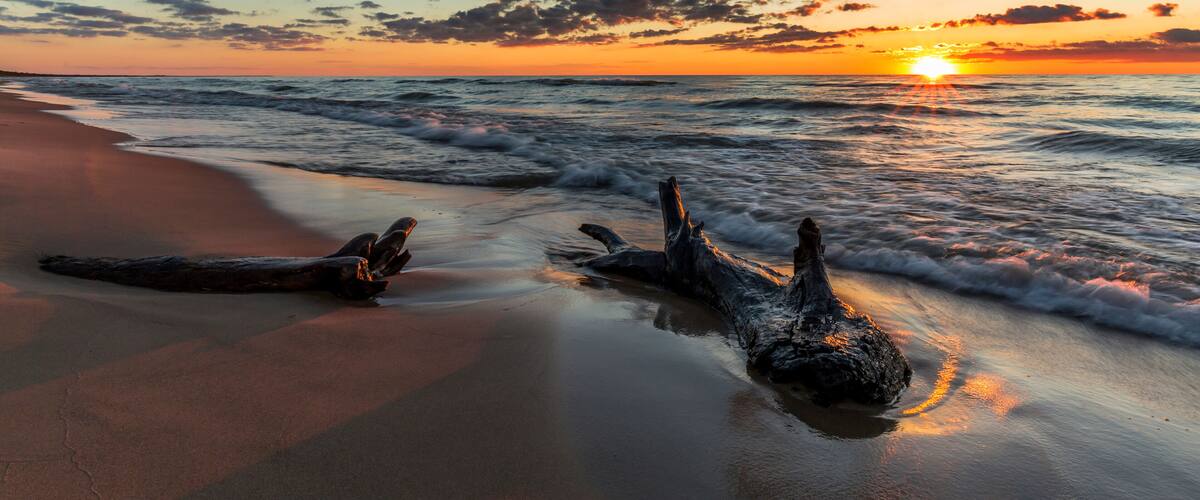 A sunset over a beach with driftwood and waves.