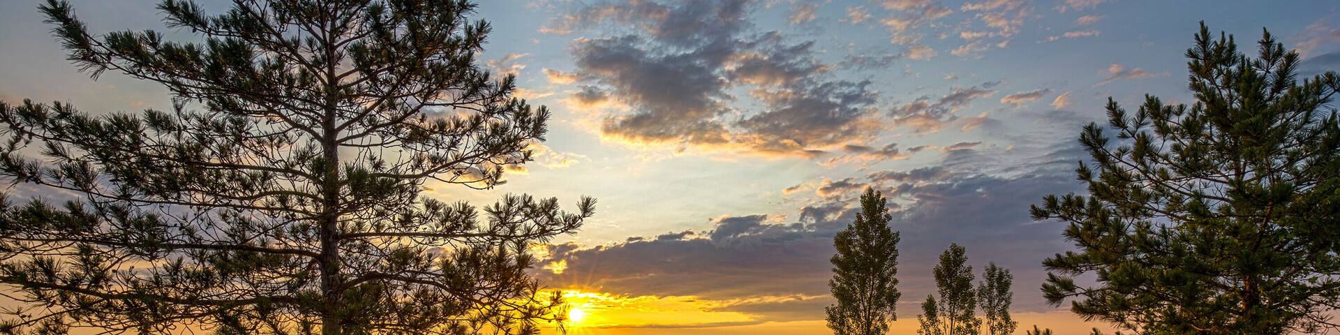 A wooden boardwalk leading to a sunset over water, surrounded by pine trees.