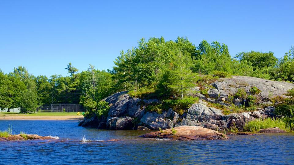 A rocky shoreline with a clear blue lake, surrounded by dense green trees and a fenced sports field in the background.