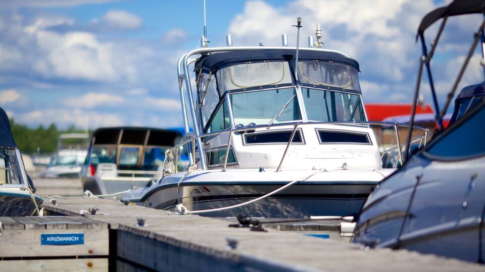 A marina with several boats docked, including a white boat with a cabin and a blue boat with a cabin.