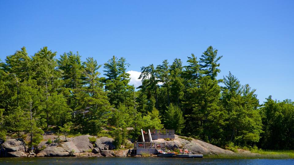A dock with a boat and a cabin on a rocky shore surrounded by dense forest.