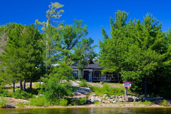 Une maison entourée d’arbres verdoyants et luxuriants, sous un ciel bleu et dégagé.