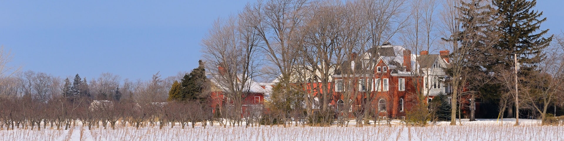 Harbour Estates Winery with new vines and orchard in Niagara Peninsula in winter