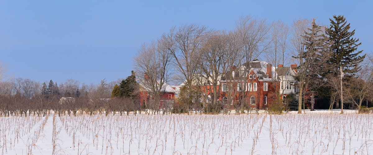 A snow-covered field with bare trees and a red brick building in the background.