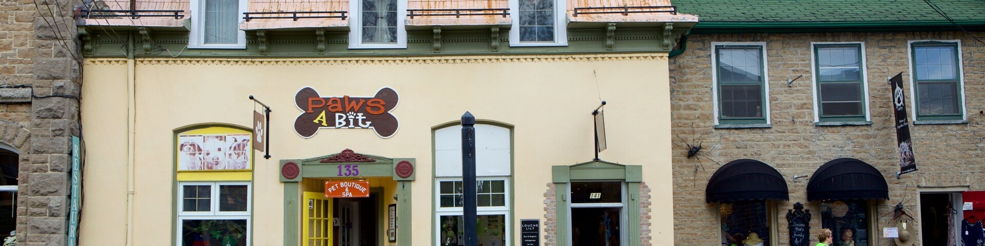 Merrickville mostrando cenas de rua