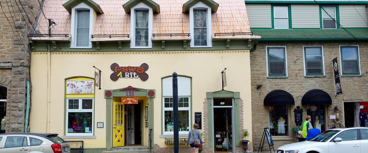 A building with a sign reading "Paws A Bit" and a pet boutique sign.