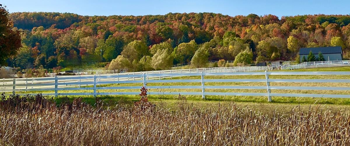 The Niagara Escarpment on a colourful fall day