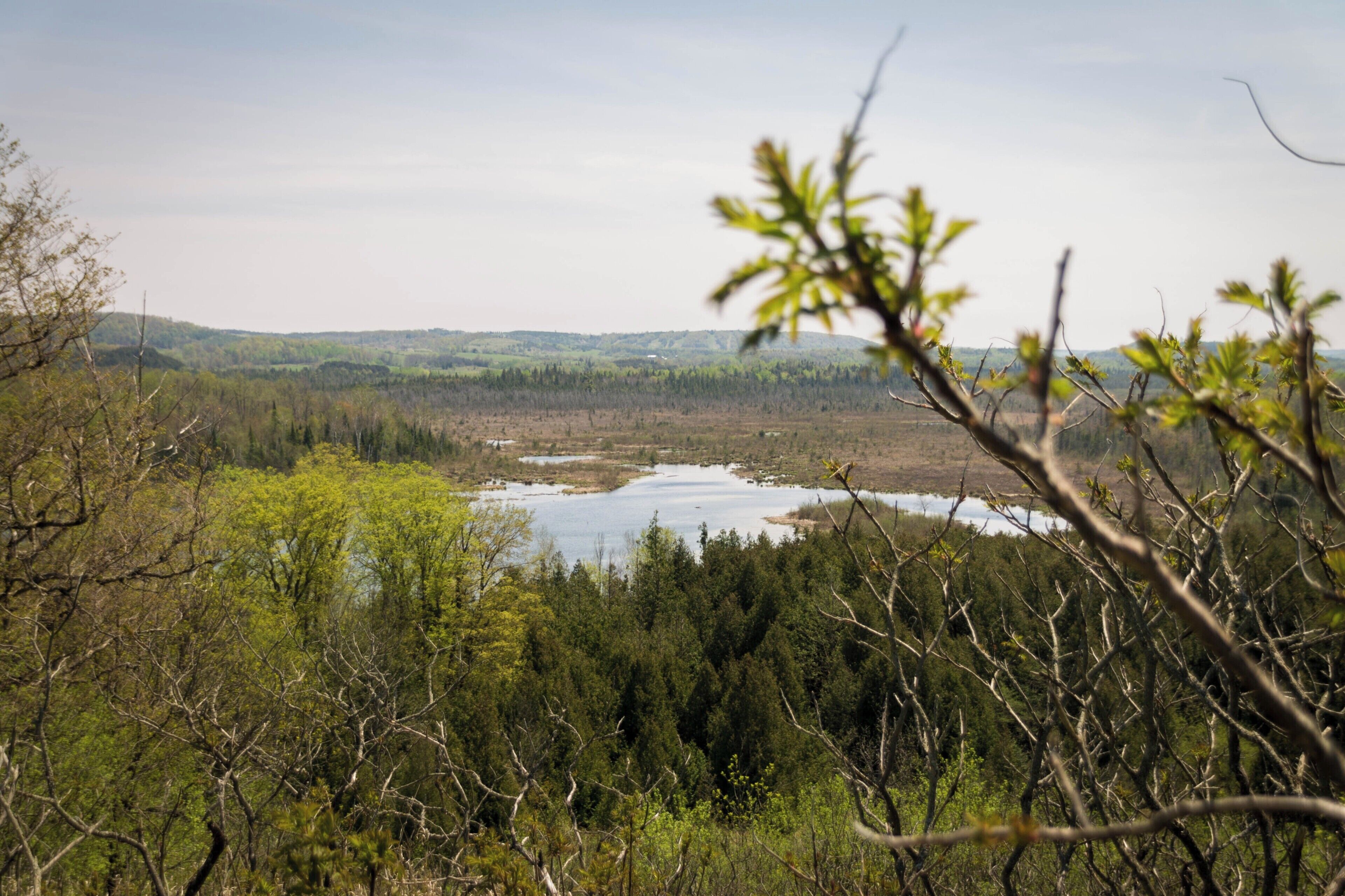 Windy Ridge look out point. Short walk from the parking lot (if you start the path on the east side)