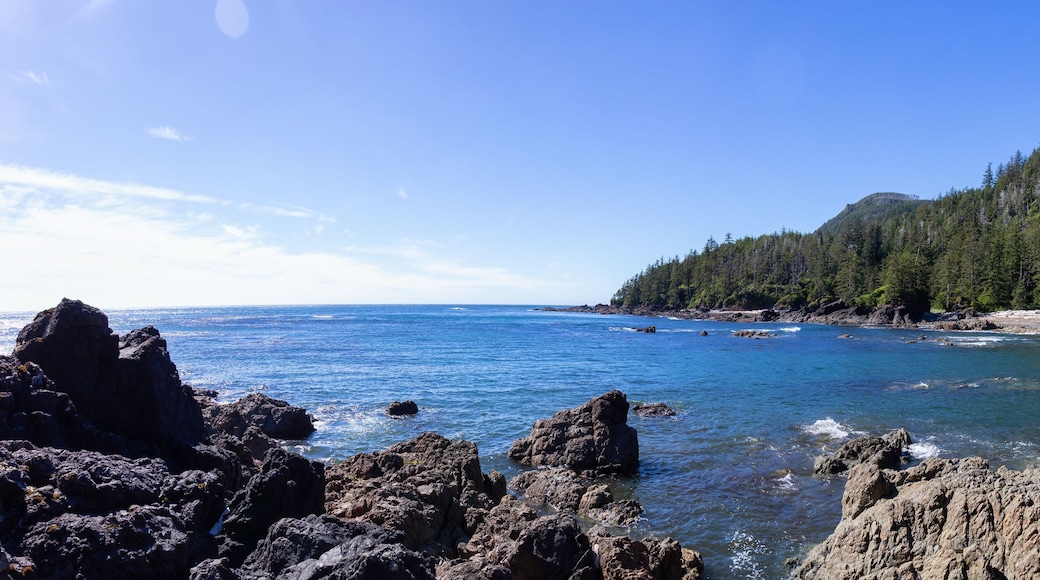Rocky beach on the Pacific Ocean Coast during a sunny summer day. Taken in Palmerston Beach, Northern Vancouver Island, BC, Canada.