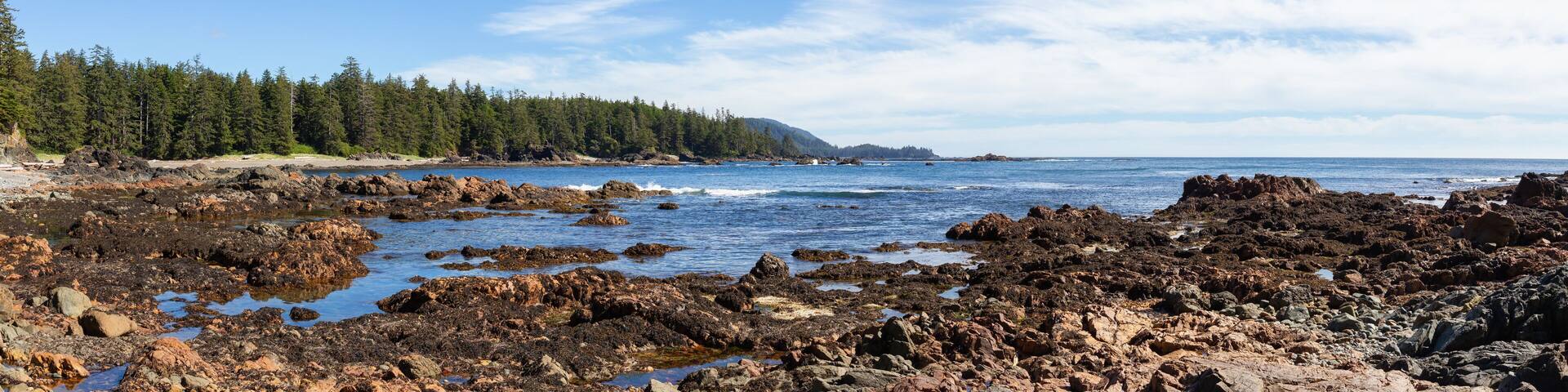 Rocky beach on the Pacific Ocean Coast during a sunny summer day. Taken in Palmerston Beach, Northern Vancouver Island, BC, Canada.