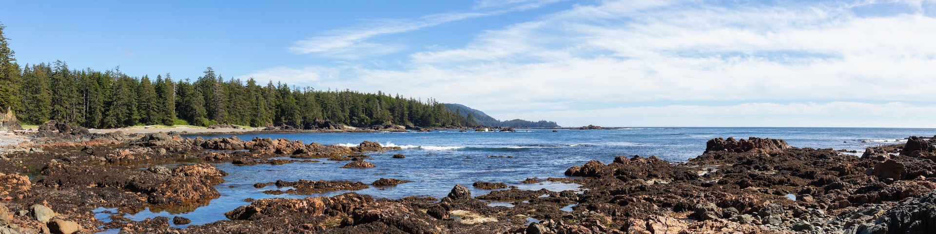 Rocky beach on the Pacific Ocean Coast during a sunny summer day. Taken in Palmerston Beach, Northern Vancouver Island, BC, Canada.