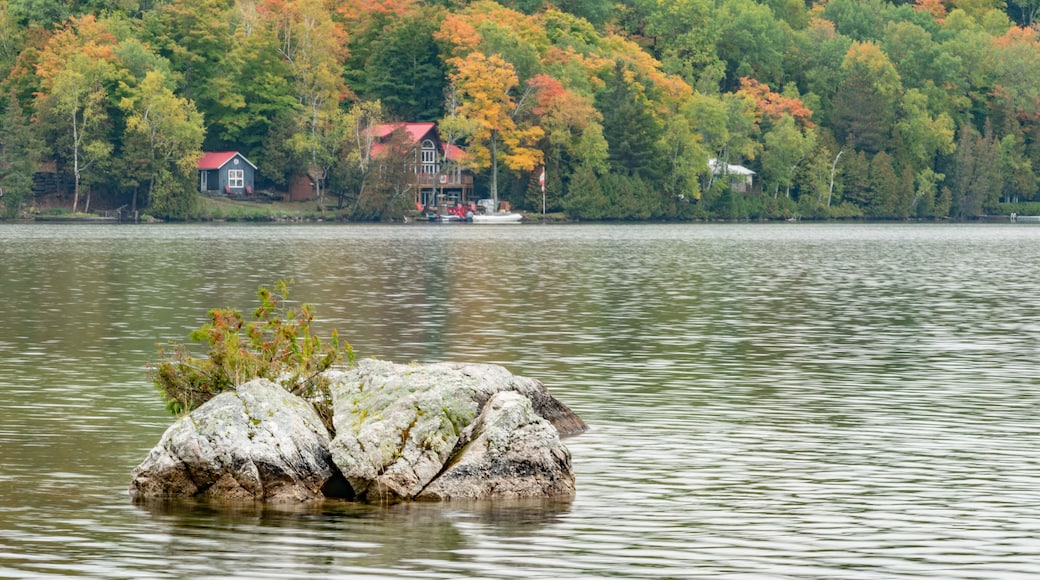 North Frontenac lake Palmerston fall colours (colors) landscape