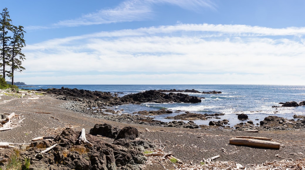 Rocky beach on the Pacific Ocean Coast during a sunny summer day. Taken in Palmerston Beach, Northern Vancouver Island, BC, Canada.