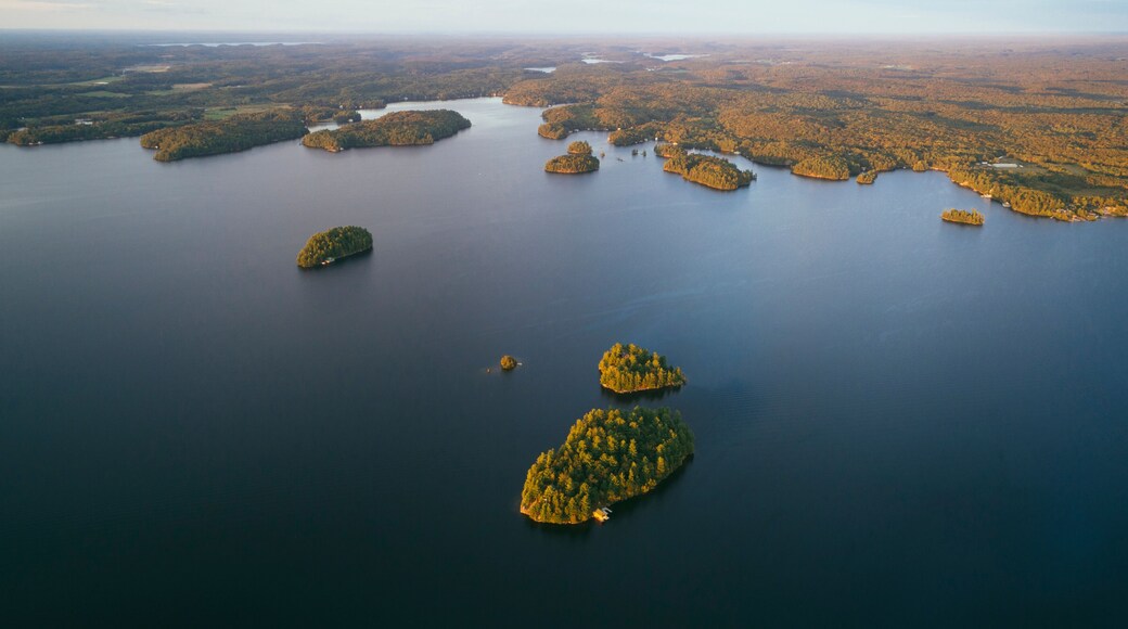 ポート カーリング