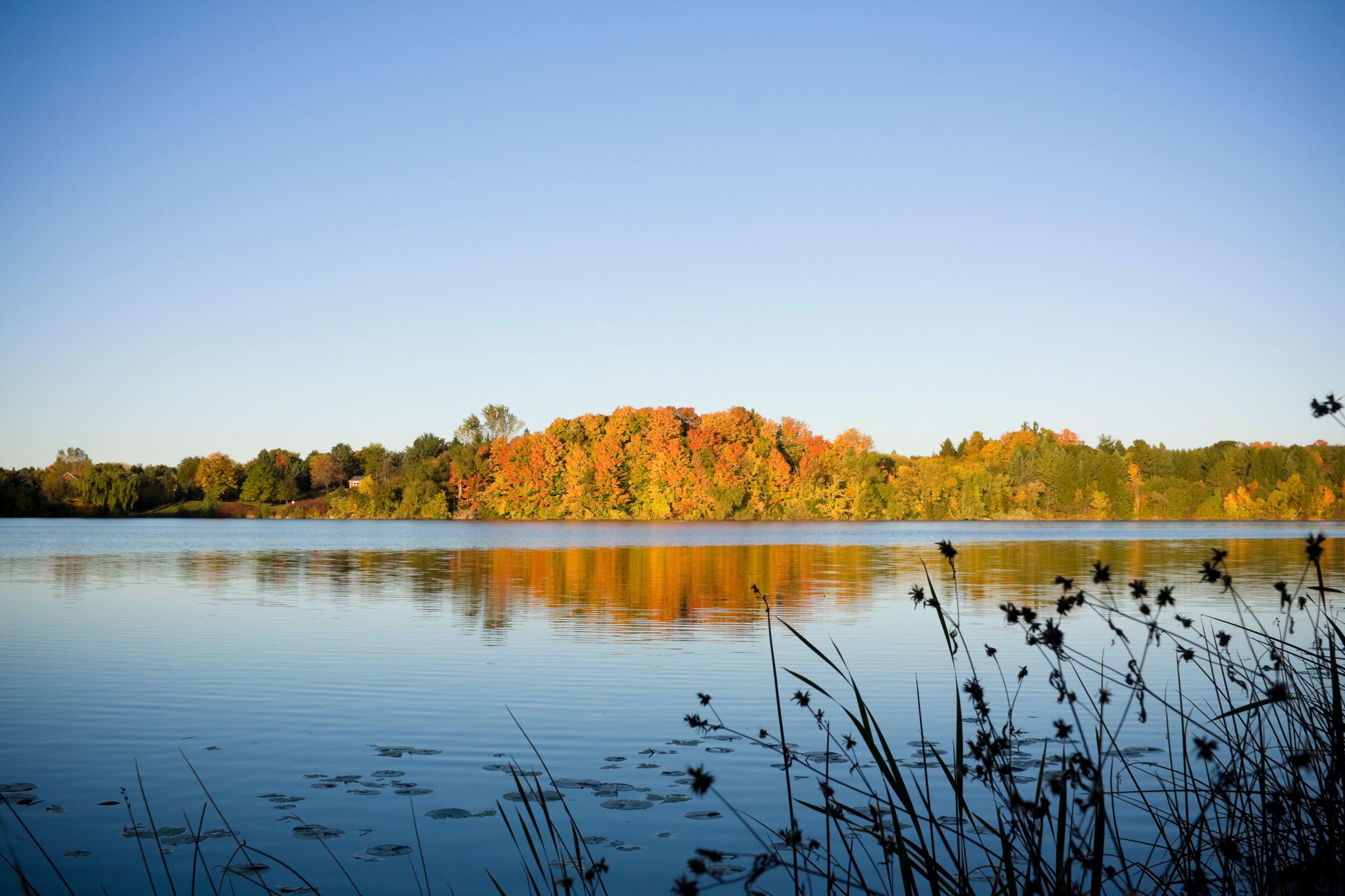 Colorful fall trees and lake