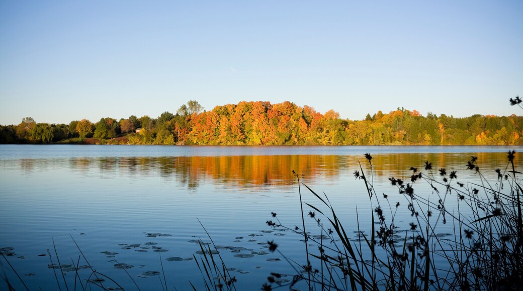 Colorful fall trees and lake