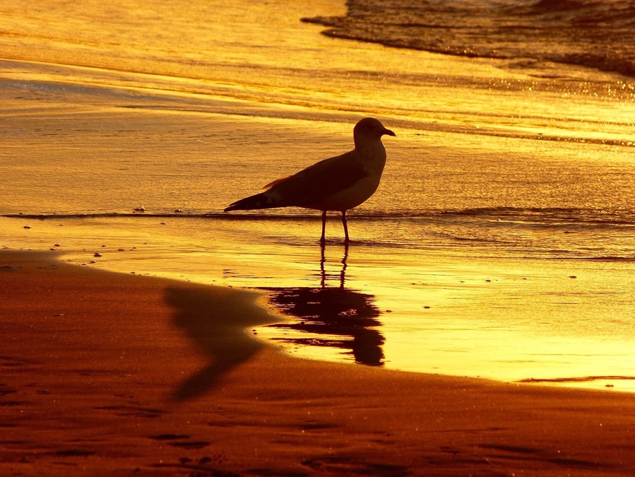 Last minutes of sunset light ... @ Port Elgin