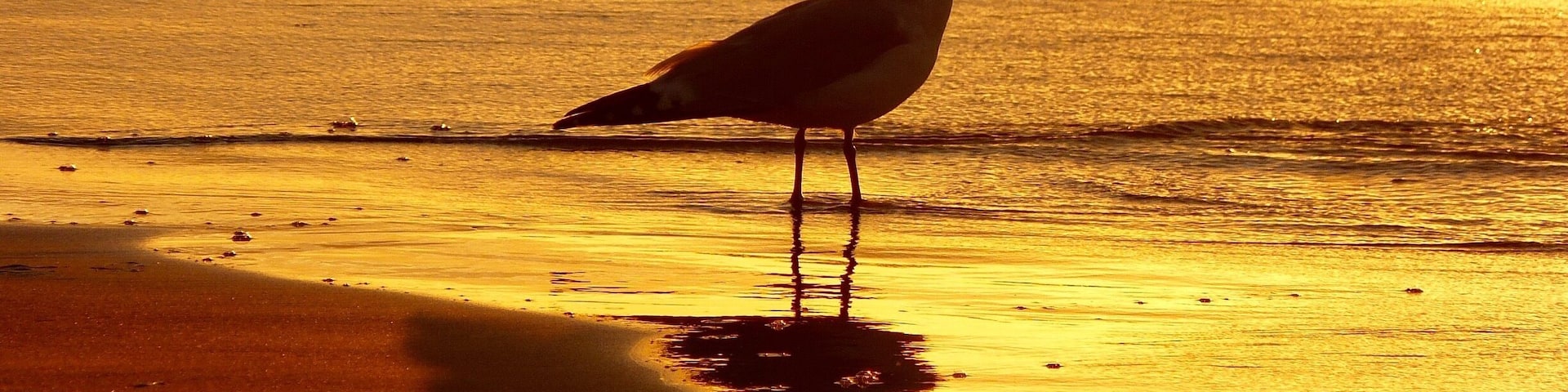 Last minutes of sunset light ... @ Port Elgin
