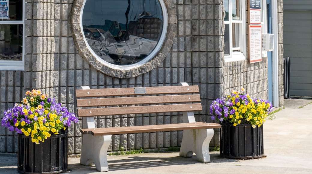 Port Elgin harbour building with round window