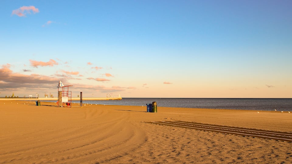 A beach with a lifeguard tower, a trash can, and a distant ship.