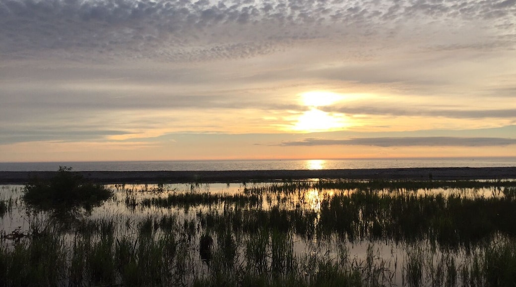 I am inspired every single day in this beautiful town and surrounding area. With daily walks along the shoreline boardwalk I do most of my creative thinking.