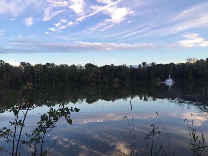 Moved here to be close to Lake Huron only to find this sweet smaller quaint town has another lake in it. With a wonderful trail that goes all around the Fairy Lake which is near the centre of town. You can here the singers and entertainment on the bandshell at the shoreline echoing off the water. It's magical in the Summer. Ever changing with the glow of Autumn and the snow filled tree lines in the winter. 