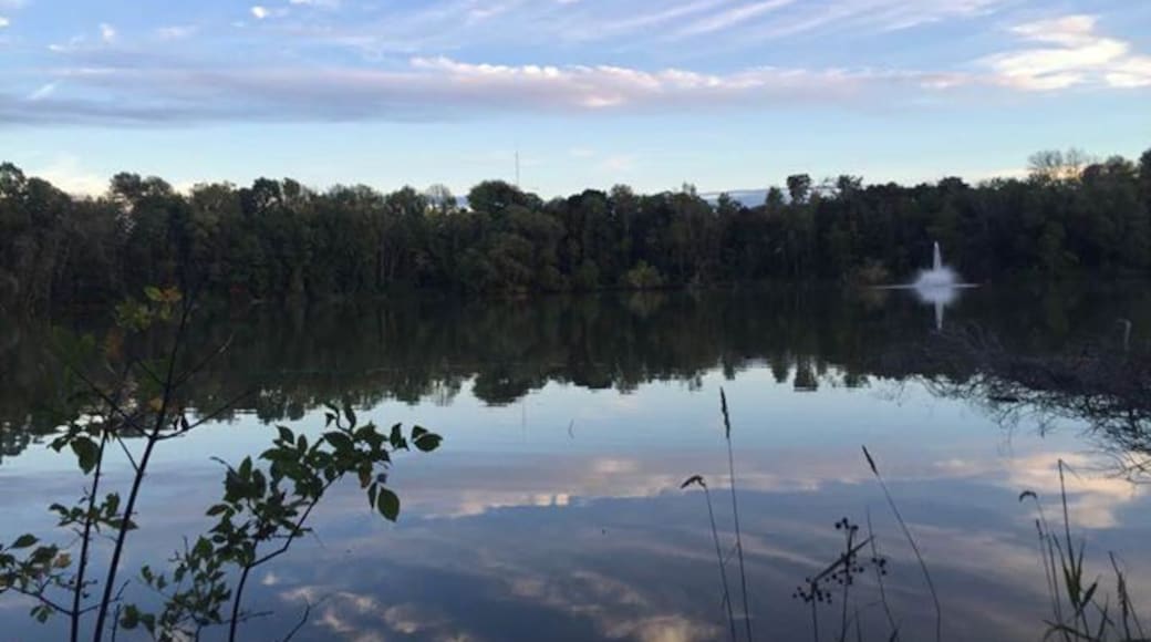 Moved here to be close to Lake Huron only to find this sweet smaller quaint town has another lake in it. With a wonderful trail that goes all around the Fairy Lake which is near the centre of town. You can here the singers and entertainment on the bandshell at the shoreline echoing off the water. It's magical in the Summer. Ever changing with the glow of Autumn and the snow filled tree lines in the winter.