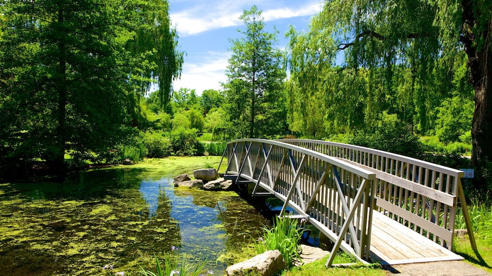 A wooden bridge over a pond surrounded by lush greenery and trees.