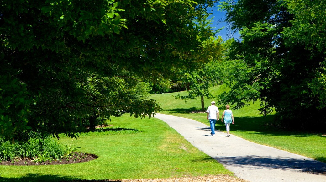 St. Thomas mostrando um jardim e escalada ou caminhada assim como um casal