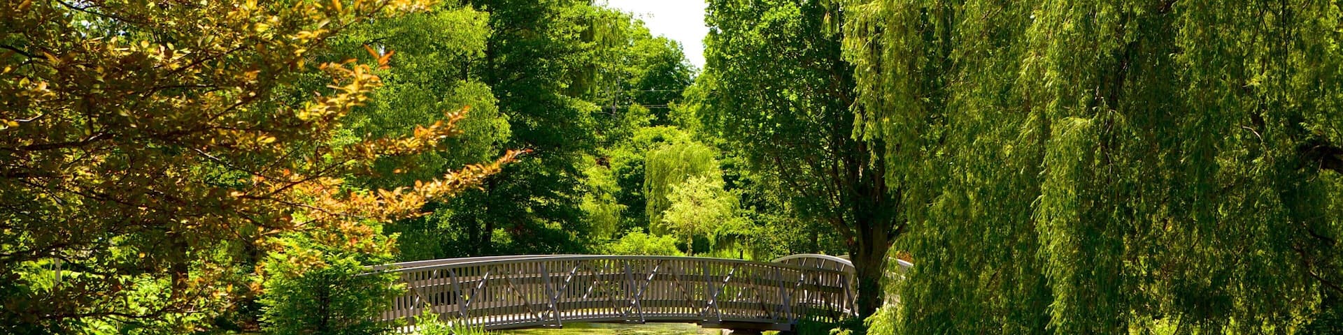 Saint Thomas featuring a bridge, a pond and forest scenes