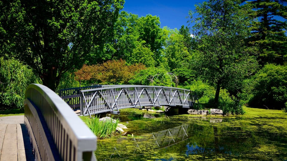 A wooden bridge over a pond surrounded by lush greenery.